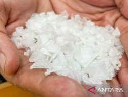 Mengharumkan asa garam di pantura Cirebon