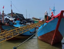 Jateng kampanyekan gemar makan ikan lewat Central Java Fish Market