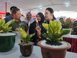 Ratusan kolektor tanaman hias ikuti kontes di Semarang