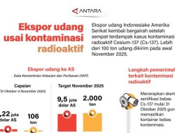 Ekspor udang usai kontaminasi radioaktif