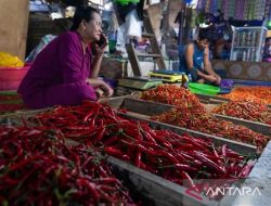 Bapanas: Harga cabai rawit Rp48.103/kg, bawang merah Rp41.225/kg