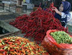 PIHPS catat harga cabai rawit Rp41.650/kg, telur ayam Rp31.400/kg
