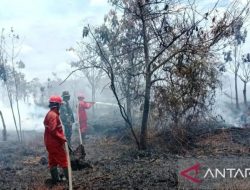 Kemenhut: Dalam dua bulan terjadi lonjakan karhutla di Sumsel