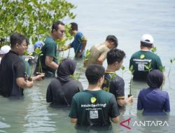Pegadaian berkomitmen jadi agen perubahan jaga kelestarian lingkungan