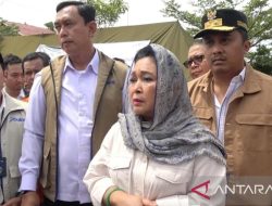 Titiek Soeharto soroti aktivitas pembalakan liar