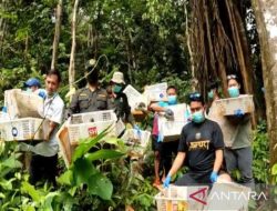 Petugas lepasliarkan 458 burung hasil sitaan di Kaki Gunung Rajabasa