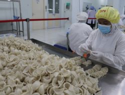 Sejarah sarang burung walet sebagai komoditas unggulan Indonesia