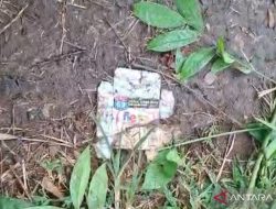 Satpol PP kerahkan 10 petugas untuk awasi Taman Daan Mogot