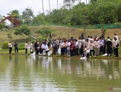 Otorita perkuat ketahanan lingkungan IKN bangun embung-kolam retensi