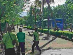 DKI remajakan pohon antisipasi pohon tumbang saat cuaca buruk