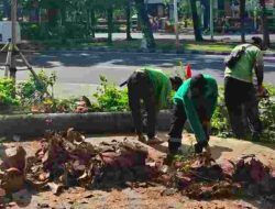 Distamhut lakukan penopingan pohon serentak di Jakarta