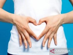 Kiwi dan air mineral dapat bantu redakan sembelit