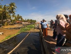 Desa Les, dari swasembada garam menjadi pariwisata hijau kelas dunia
