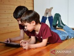 Denmark berencana larang anak di bawah 15 tahun gunakan media sosial