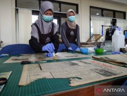 Pakar: Penting peserta Magang Nasional terima perlindungan BPJamsostek