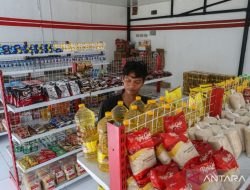 Pengamat: Kopdes Merah Putih perlu kuat, siapkan integrasi 18 juta PKH