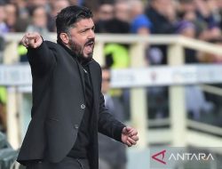 Gattuso pastikan Tonali dan Calafiori absen lawan Norwegia